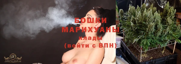 твердый Бронницы
