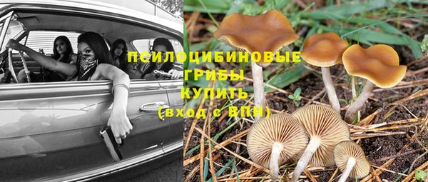 PSILOCYBIN Богородск