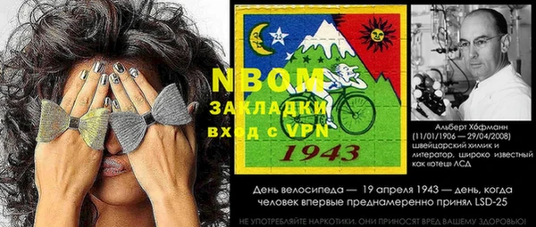твердый Тайга