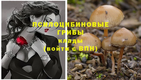 скорость Богородицк