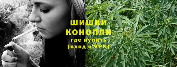 стафф Бородино