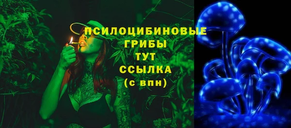 первитин Богданович