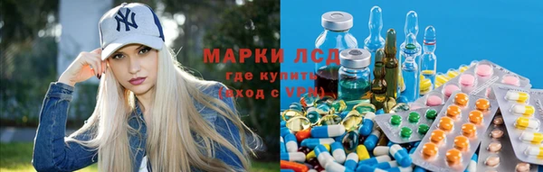 первитин Богданович