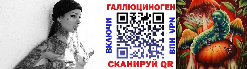 даркнет сайт  Михайловка  Псилоцибиновые грибы мухоморы 